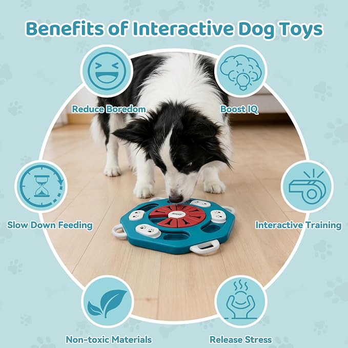 Dog Puzzle Toy for Smart Dogs, Interactive Dog Enrichment Toys,Level2(Blue)
