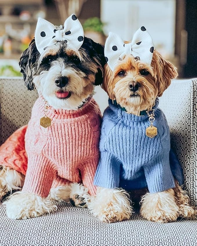 Blueberry Pet Dog Sweater - Fuzzy Knit Pullover for Medium to Large Dogs, Rainbow Pink Girl Dog Clothes, Crew-Neck Sweater Vest, 20" Back Length, Soft & Washable Pink Coat