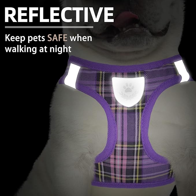PUPTECK Adjustable Dog Harness Collar and Leash Set Step in No Pull Pet Harness for Small Medium Dogs Puppy and Cats Outdoor Walking Running, Soft Mesh Padded Reflective Vest Harnesses, Purple M