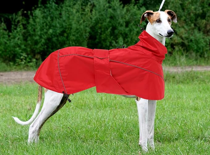 Greyhound Lurcher Raincoat, Whippet Rain Gear with Reflective Bar, Rain/Waterproof, Adjustable Bands and Drawstring in Autumn and Winter - Red - L