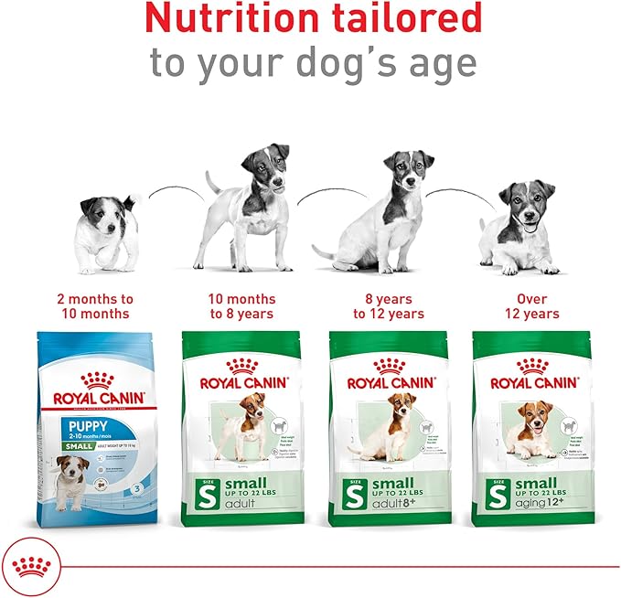 Royal Canin Size Health Nutrition Small Aging 12+ Senior Dry Dog Food, 12 lb Bag