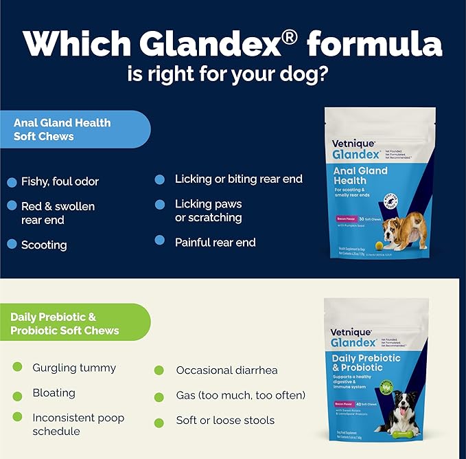 Vetnique Glandex Daily Probiotics for Dogs with Prebiotics to Support Gut Health with Fiber and Digestive Enzymes, Probiotic Chews or Powders (4.25oz Powder, Pork Powder)
