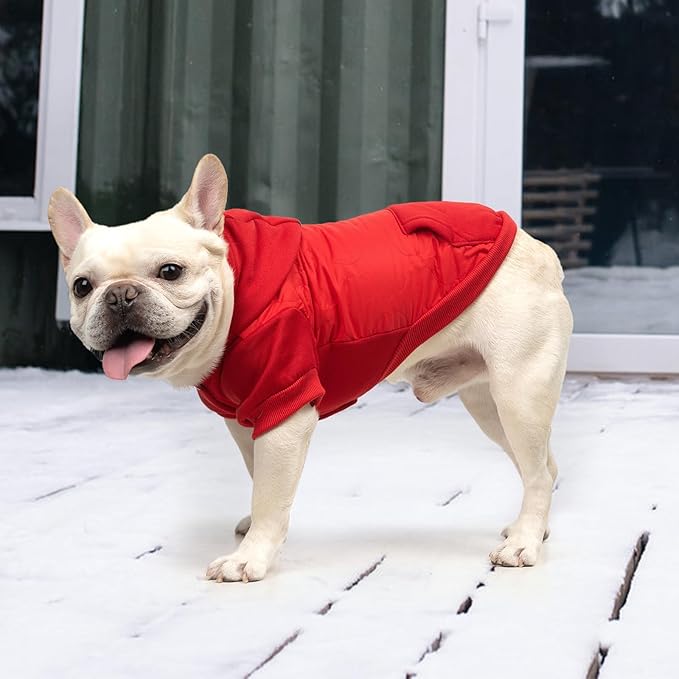 KOOLTAIL Warm Dog Winter Coat for Small Dogs, Waterproof Puppy Jacket with Leash Hole,Cold Weather Pet Vest for Winter, Soft Hoodie Sweater Sweatshirt Clothes Outfit for Puppy Cats Girls Boys Red S