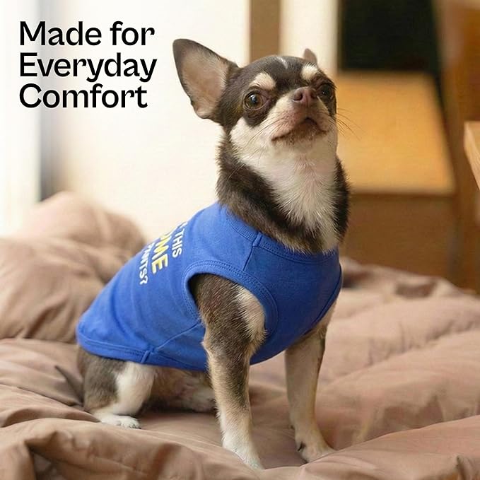 Parisian Pet Dog T-Shirt - Embroidered “ Awesome “ Shirt - Pure Cotton and Lightweight Dog Clothes - Blue Sleeveless Pet Tee Shirts - Cute Puppy Clothes - Shirts for Small Dogs Boy - S