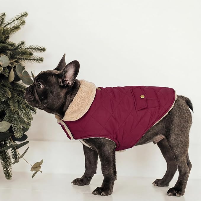 Dog Winter Jacket for Extra-Large Dogs, Pet Windproof Cold Weather Coats, Pets Clothes Snow Jacket, Golden Retriever, Labrador Retriever, Husky, Burgundy XL