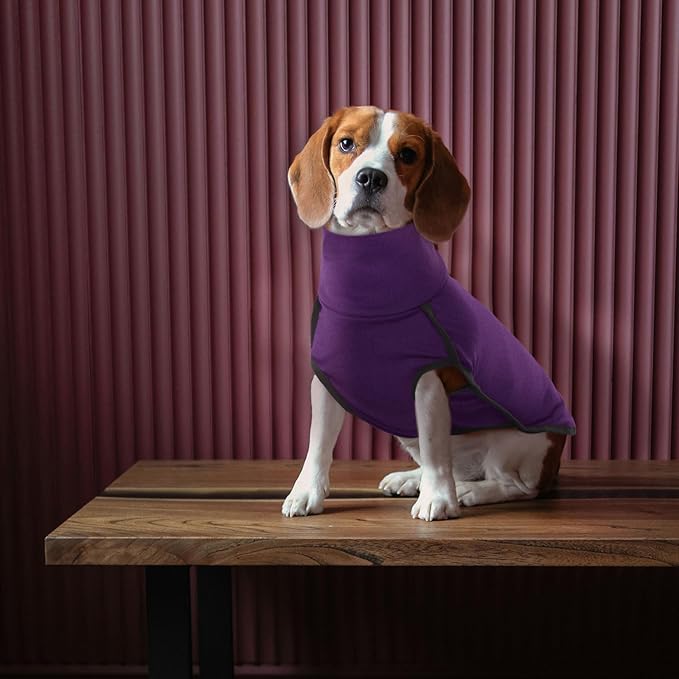 ROZKITCH Sweater for Dogs Large, Pet Windproof Warm Cold Weather Jacket Vest Cozy Jumpsuit Apparel Outfit Clothes for Walking Hiking Travel Sleep Purple XL