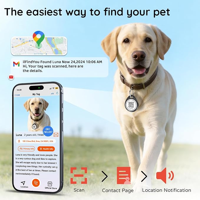 QR Code Dog Tags Personalized for Pets, Real-time Alerts, Bridge