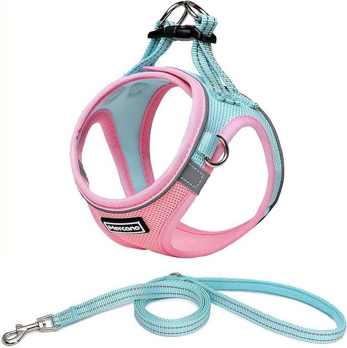 Mercano Soft Mesh Dog Harness and Leash Set, No-Chock Step-in Reflective Breathable Lightweight Easy Walk Vest Harnesses with Safety Buckle for Small Dogs, Cats (S, Pink Blue)