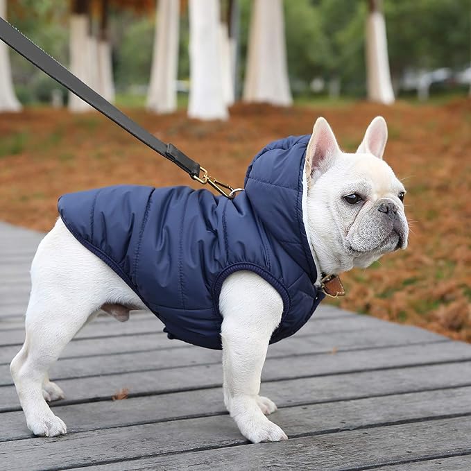 Windproof Waterproof Dog Coat Fleece & Cotton Lined Warm Jacket, Cold Weather Pet Apparel Clothes Vest for Small to Large Dogs (L, Blue)