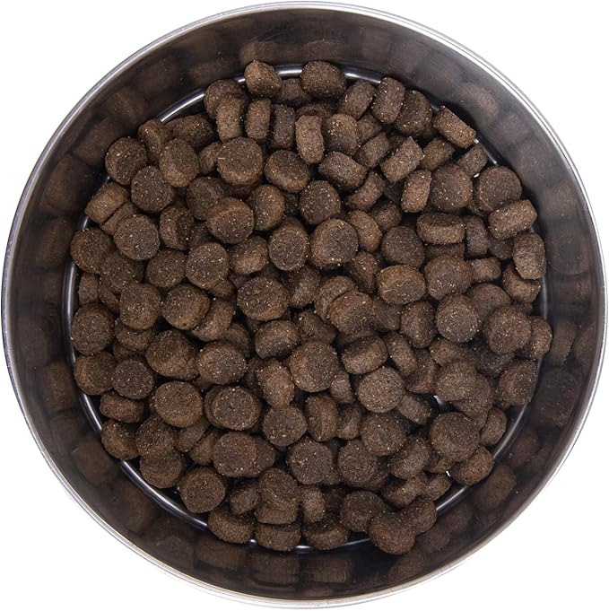Health Extension Lamb & Brown Rice Dry Dog Food, Protein Packed Formula with Probiotics & Superfoods for Digestion & Coat Health (15lb)