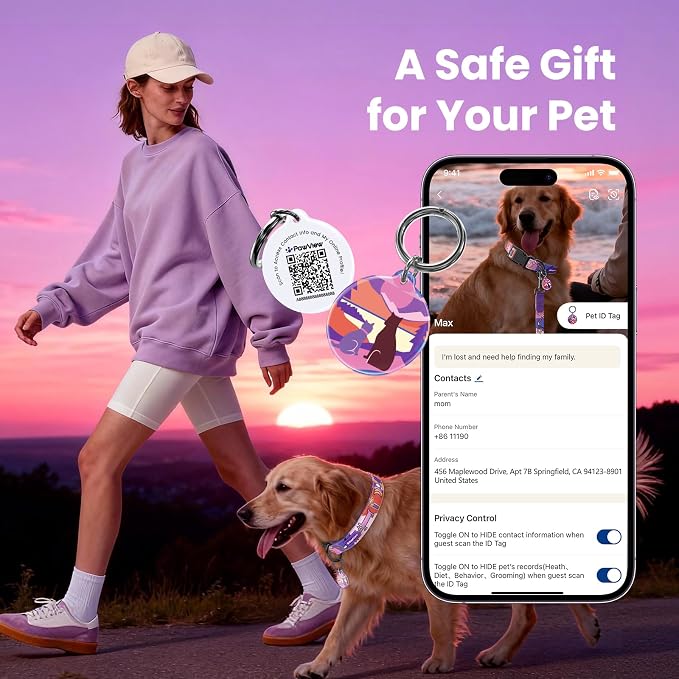 Dog Collar with QR Code ID Tag, Adjustable Pet Collar, Purple, S