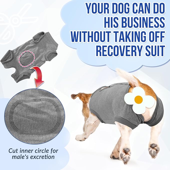 Lukovee Recovery Suit for Dogs, Onesie Surgery Recovery Suit for Female Male Dogs, Abdominal Wounds Cone E-Collar Alternative Prevent Licking Spay Recovery Suit (Grey,Small)