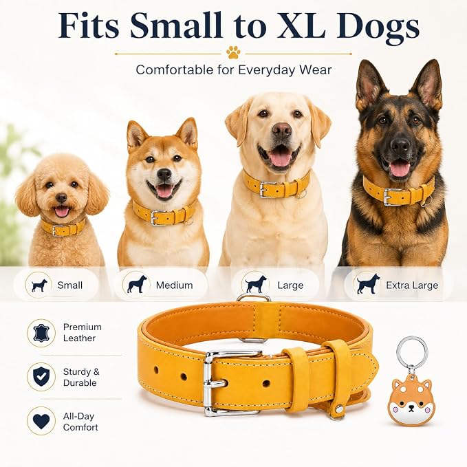 Genuine Leather Dog Collar, Soft Padded Leather Dog Collars with Airtag Holder Case for Small Medium Large X-Large Dogs,Comfort Heavy Duty Pet Collar with Durable Metal Buckle & D-Ring-Light Yellow/M
