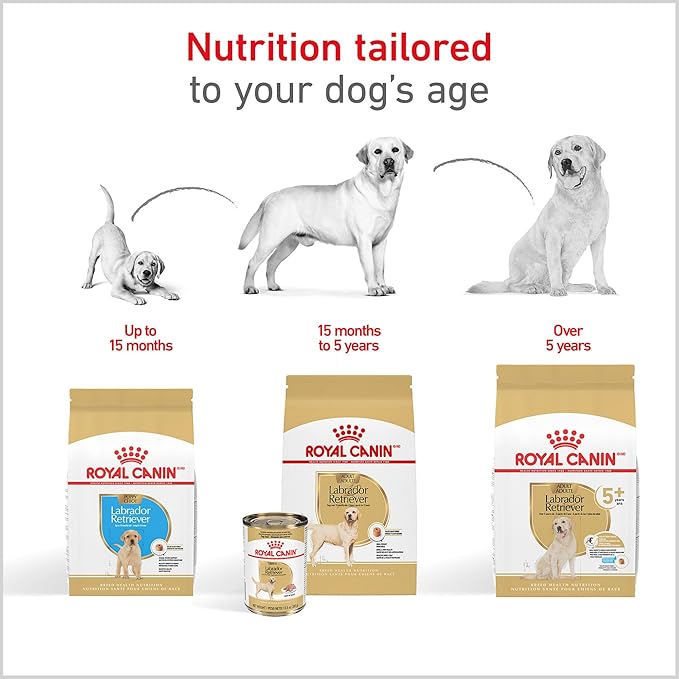 Royal Canin Breed Health Nutrition Labrador Retriever Puppy Dry Dog Food, 2.5 lb Bag