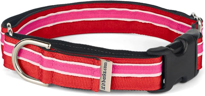 If It Barks 1" Martingale Collar with Quick Snap Release Buckle, Adjustable, USA Made, Medium, Shortcake