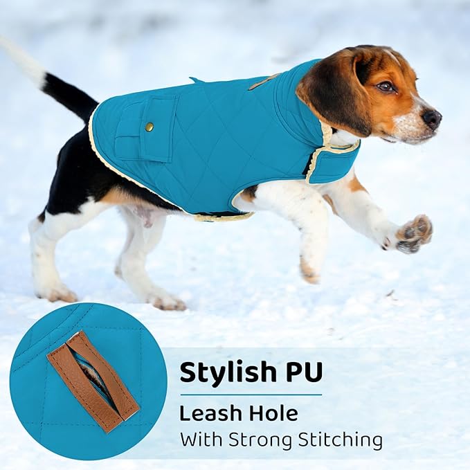 Queenmore Dog Winter Coat Warm Puffer Jacket Waterproof Plush Lining Thermal Cold Weather Vest for Small Medium Large Dogs, Windproof Easy On Pet Jacket Blue L