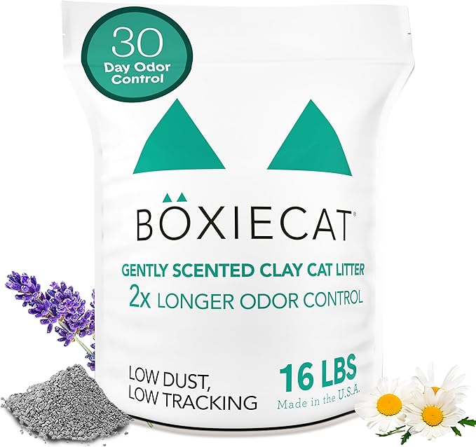 Boxiecat Gently Scented Premium Clumping Clay Cat Litter-16-Pounds