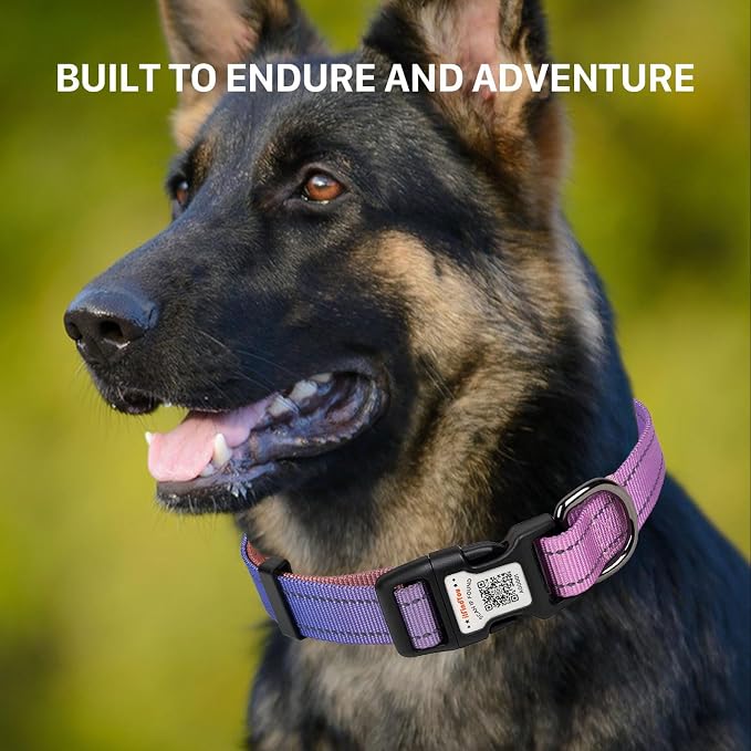 Personalized Dog Collar with QR Code Dog Tag, Pink&Orange L | Anti-lost, 1000D nylon, reflective, padded, XS-L(8"-24"), QR buckle shares lost pet profile, location alerts when scanned