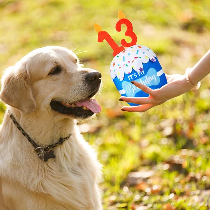 Dansydaisy Dog Birthday Cake Toy Squeaky Plush Gift,13th,Blue