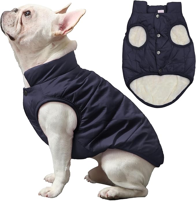 2 Layers Fleece Lined Warm Dog Jacket for Puppy Winter Cold Weather,Soft Windproof Small Dog Coat,Blue XS