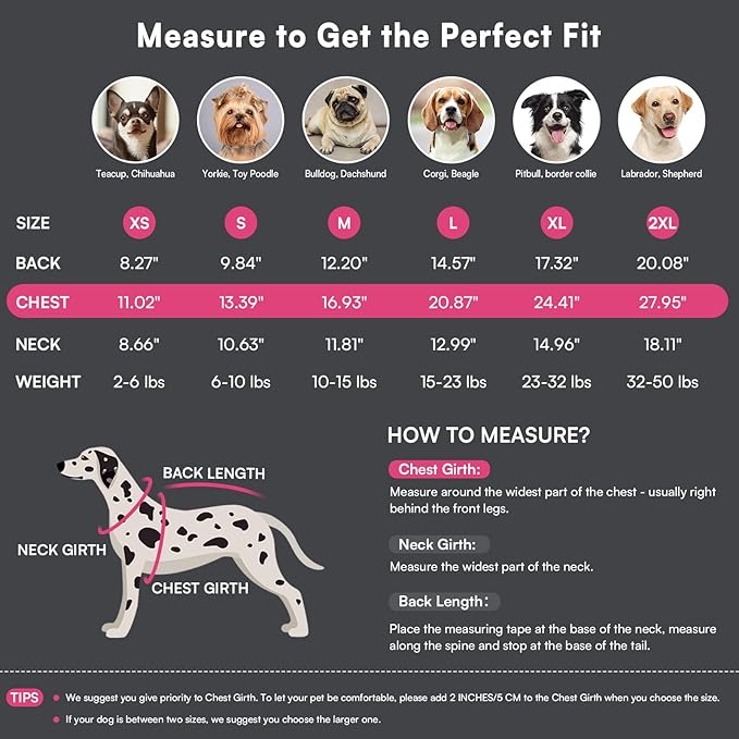 Queenmore Dog Sweater,Soft Fleece Vest Pullover Dogs Jacket with Elastic Stretchable,Warm Winter Dog Coats Cold Weather Doggy Dachshund Sweaters for Small Dogs Cats Boy or Girl (Pink, M)