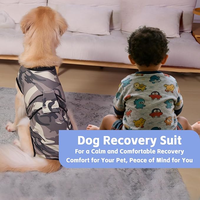 PET Glam Recovery Suit for Dogs Cats, After Surgery, Alternative E-Collar Dog CAT. PET Shirt Breathable Abdominal Wounds, Neuter Cotton, Prevent Licking Onesie Surgical (Green, M)