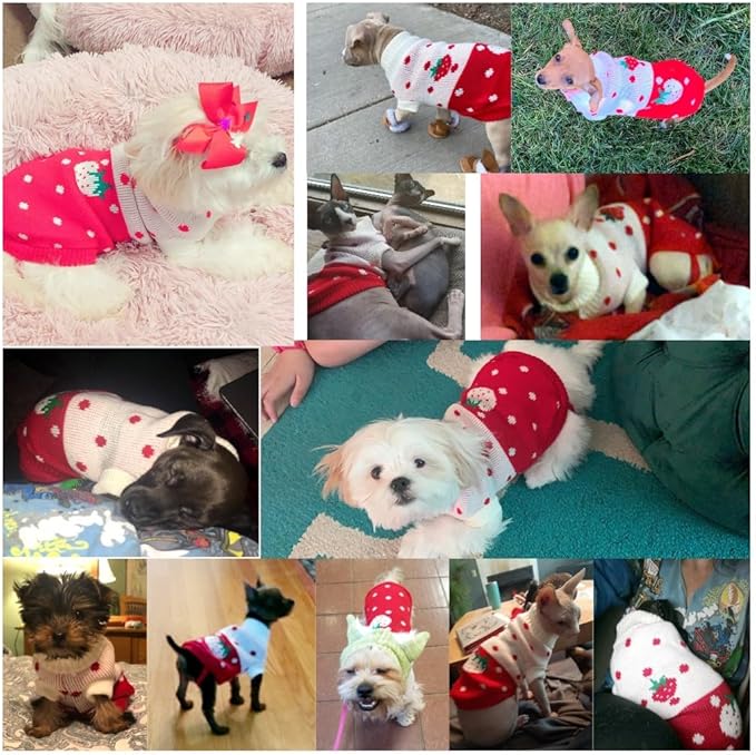 CHBORCHICEN Pet Dog Sweaters Classic Knitwear Turtleneck Winter Warm Puppy Clothing Cute Strawberry and Heart Doggie Sweater (Red1, Large)