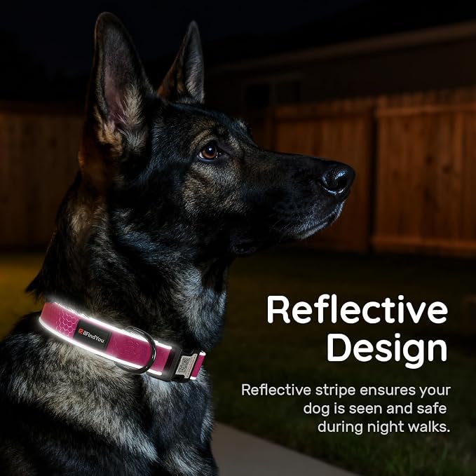 Personalized Dog Collar with QR Code Dog Tag, Oxford Rose Red S | Anti-lost, Oxford, reflective, padded, XS-L(8"-24"), QR buckle shares lost pet profile, location alerts when scanned, No Fees