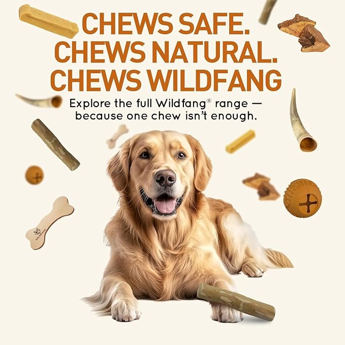 Wildfang® Rubber Dog Toys for Aggressive Chewers, Fabius - Natural Rubber Teether Balls for Dogs, Supports Dental Health, Teething, Outdoor & Indoor Play Dog Toy for All Breeds