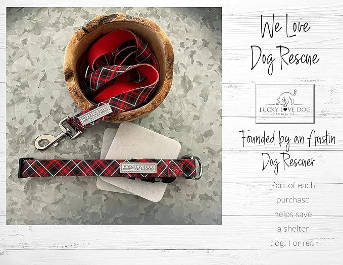 Lucky Love Dog Martingale Collar & Leash Set No Slip Cute – Heywood, Medium