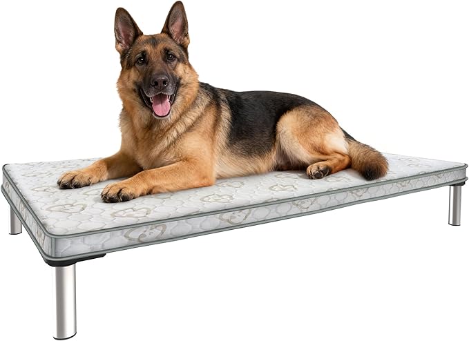 FXW TitanNest Chew-Proof Elevated Dog Bed, Raised Cot for Indoor/Outdoor/Camping Use, Durable & Washable Padded Pet Bed with Exclusive Cover for Large Dogs, 47.0" L x 29.0" W x 7.3" H, Black