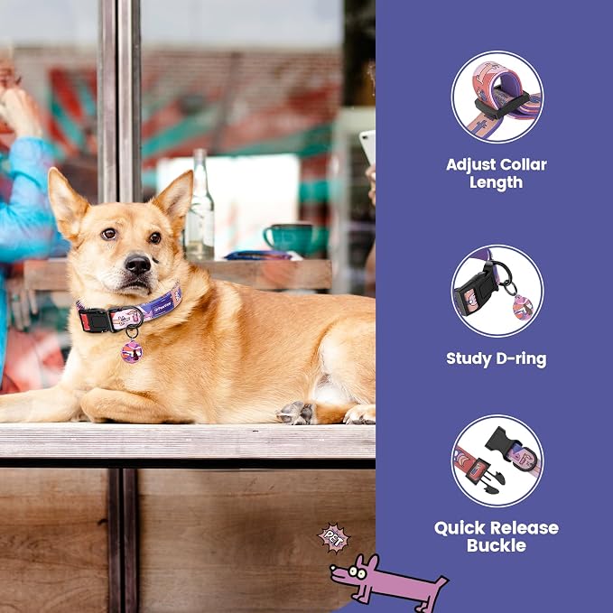 Dog Collar with QR Code ID Tag, Adjustable Pet Collar, Purple, S