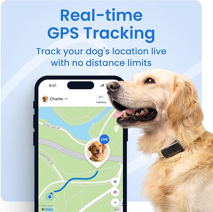 Tractive Smart Dog GPS Collar | Live Pet Tracker with Virtual Fence | Vital Signs Monitoring of Heart & Respiratory Rate | Bark Monitoring | LED Dog Collar (Blue, Large)