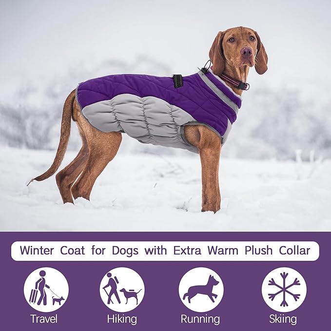 FUAMEY Dog Coat for Small Dogs,Waterproof Dog Winter Jacket with Harness Built in Puppy Cold Weather Coats Reflective Pet Vest with Zipper Warm Fleece Dogs Snowsuit Windproof Purple XS