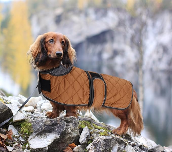 Dachshund Coat Dog Coats for Dachshunds Dachshund Winter Jacket with Padded Fleece Outdoor Dog Clothes with Adjustable Bands - Brown - S