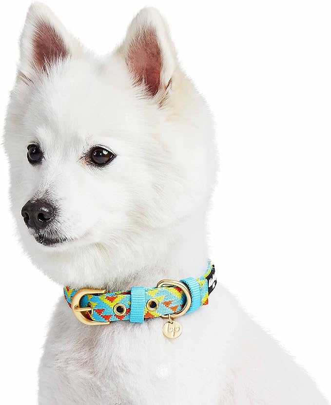 Blueberry Pet Southwestern Tribal Triangles River Blue Adjustable Dog Collar with Metal Buckle, Neck 19.5-26", for Large Breed