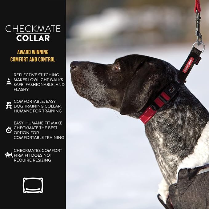 EzyDog Checkmate Martingale Collar for Dogs – Premium Nylon Training Dog Collar for Easy Control with no Choking (Medium, Black)
