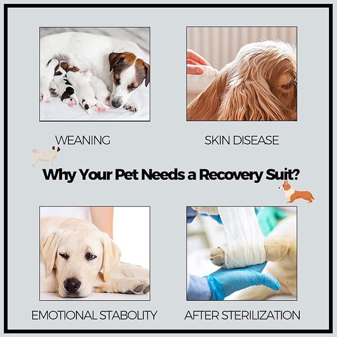 Dog Surgery Recovery Suit, Puppy & Cat Onesie for Shedding Skin Disease & Wound Protection, Medical Pet Surgical Suit with Long Sleeve, Dog Pajamas (Black Grey, X-Large)
