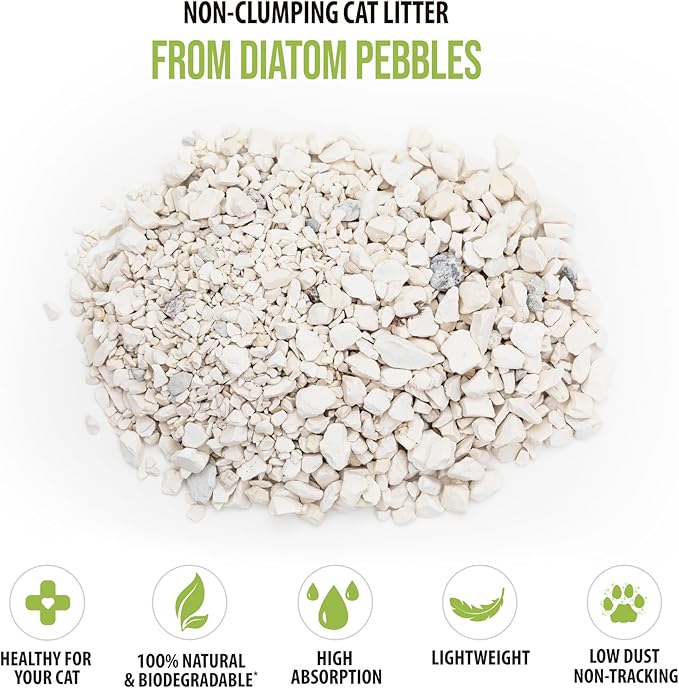 Skoon All Natural Cat Litter (2 Bags) - Original - Lightweight, Low Tracking, Non-Clumping Diatom Pebbles Absorb, Lock, and Seal Waste for Best Odor Control