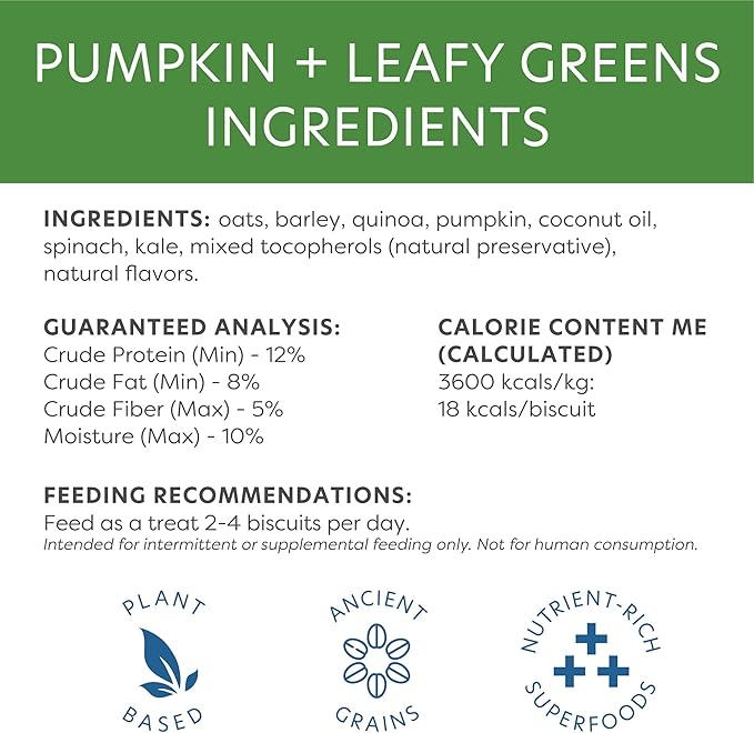 Body and Soul Pumpkin + Leafy Greens Crunchy Dog Treats – Superfood Biscuits Baked with Oats, Barley & Quinoa – All-Natural Plant Based Clean Protein, No Additives or Fillers – Made in USA, 10oz