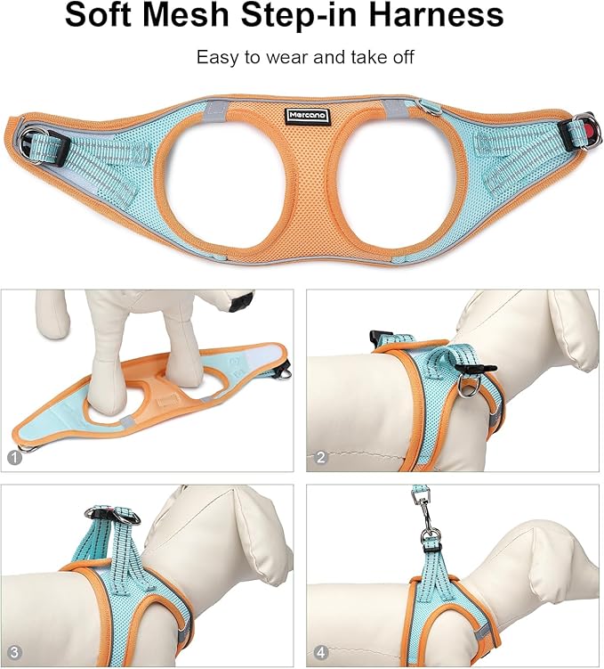 Mercano Soft Mesh Dog Harness and Leash Set, No-Chock Step-in Reflective Breathable Lightweight Easy Walk Vest Harnesses with Safety Buckle for Small Dogs, Cats (M, Orange Blue)