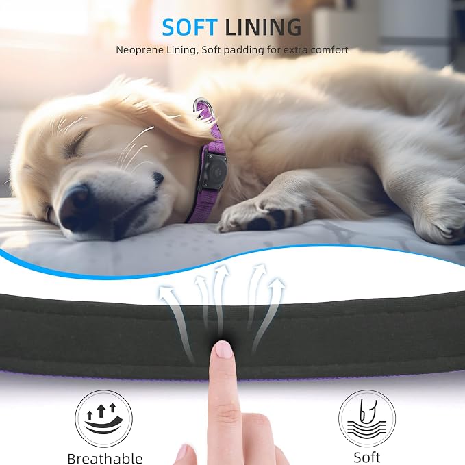 Upgrade Dog Collar with AirTag Holder, IP68 Waterproof, Purple, XL | Built-in Water Resistant AirTag holder, 1000D Nylon, Reflective Stitching for Night Visibility, Soft padding for Comfort