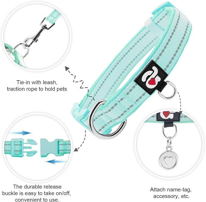 azuza Airtag Dog Collar, Large Dog Collar with Airtag Holder, Teal, L