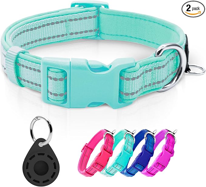 azuza Airtag Dog Collar, Large Dog Collar with Airtag Holder, Teal, L