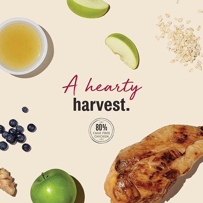 The Honest Kitchen Human Grade Jerky Harvest Mini Bars: Chicken Recipe With Apples & Blueberries, 4 oz Bag