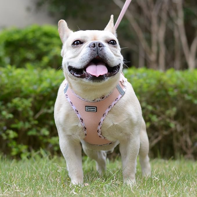 Mercano Soft Mesh Dog Harness and Leash Set, No-Chock Step-in Reflective Breathable Lightweight Easy Walk Vest Harnesses with Safety Buckle for Small Dogs, Cats (Champagne, XXS)