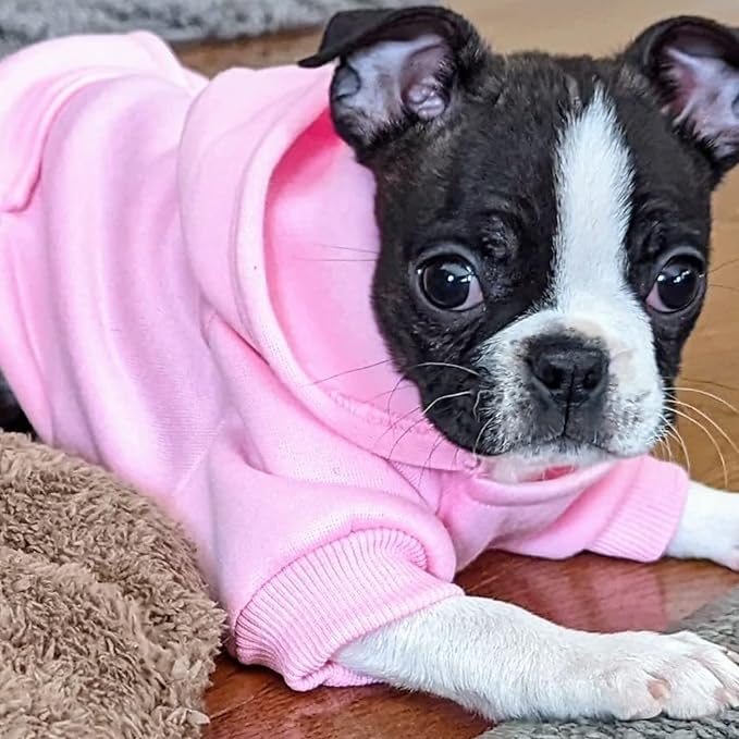 Jecikelon Winter Dog Hoodie Sweatshirts with Pockets Warm Dog Clothes for Small Dogs Chihuahua Coat Clothing Puppy Cat Custume (Pink, XX-Small)