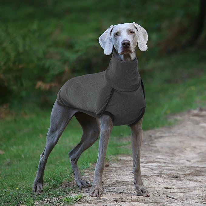 ROZKITCH Soft Dog Sweater Pullover Pajamas, Pet Windproof Warm Cold Weather Jacket Vest Cozy Jumpsuit Apparel Outfit Clothes for Walking Hiking Travel Sleep Black M