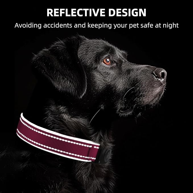 Upgrade Dog Collar with AirTag Holder, IP68 Waterproof, Watermelon red, M | Built-in Water Resistant AirTag holder, 1000D Nylon, Reflective Stitching for Night Visibility, Soft padding for Comfort