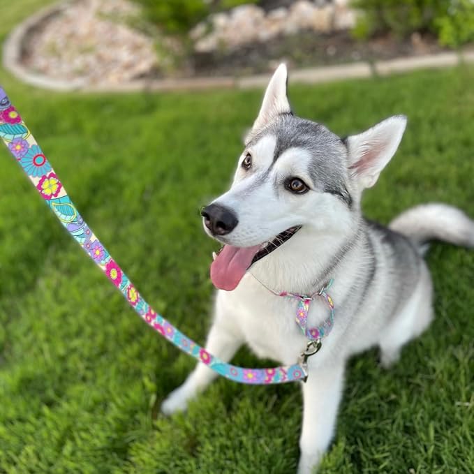 Lucky Love Dog Martingale Collar & Leash Set No Slip Cute – Caroline, Small